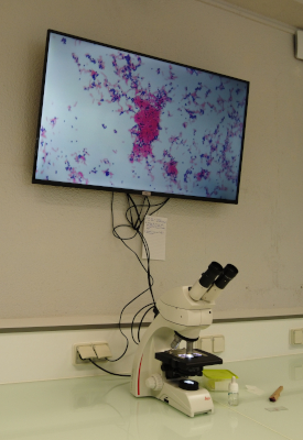 microscope